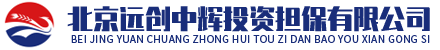 遠(yuǎn)創(chuàng)中輝投資擔(dān)保（北京）有限公司